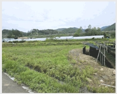  2025Ÿ50703  ȫõ  õ 355      ()