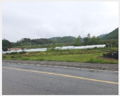  2025Ÿ50703  ȫõ  õ 355      ()