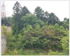  2025Ÿ50715  õ 赿 2       (Ӿ)