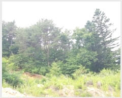  2025Ÿ50715  õ 赿 2       (Ӿ)