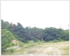  2025Ÿ50715  õ 赿 2       (Ӿ)