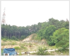  2025Ÿ50715  õ 赿 2       (Ӿ)