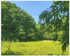  2025Ÿ��50723  �Ӿ߰��