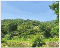  2025Ÿ��50723  �Ӿ߰��