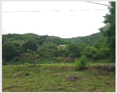  2025Ÿ��50723  �Ӿ߰��