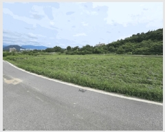  2025Ÿ50727  õ  ݻ긮 890-29      ()