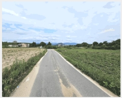  2025Ÿ50727  õ  ݻ긮 890-29      ()