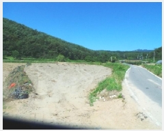  2025Ÿ50727  õ  ݻ긮 890-29      ()