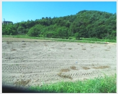  2025Ÿ50727  õ  ݻ긮 890-29      ()