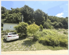  2025Ÿ��50739 ���� ������ ���� ��ġ�� 519      ���ð��