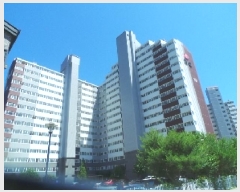  2025Ÿ50751  õ ź õ 1352 Ҿ簭 쳻Ⱦ Ʈ 101 151510ȣ Ʈ