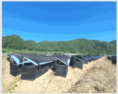  2025Ÿ��50758 ���� �籸�� ���� �ݾǸ� 339      ����(��)���