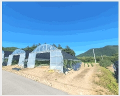  2025Ÿ��50758 ���� �籸�� ���� �ݾǸ� 339      ����(��)���