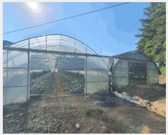  2025Ÿ��50758 ���� �籸�� ���� �ݾǸ� 339      ����(��)���