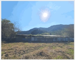  2025Ÿ��50758 ���� �籸�� ���� �ݾǸ� 339      ����(��)���