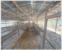  2025Ÿ��50758 ���� �籸�� ���� �ݾǸ� 339      ����(��)���