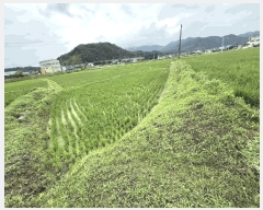  2025Ÿ50763  õ ŵ ȹ̸ 381      ()