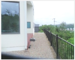  2025Ÿ��50775 ���� �籸�� �籸�� ������ 441      ���ð��