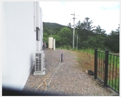  2025Ÿ��50775 ���� �籸�� �籸�� ������ 441      ���ð��