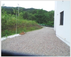  2025Ÿ��50775 ���� �籸�� �籸�� ������ 441      ���ð��