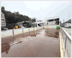  2025Ÿ��50778 ��õ�� �ź��� �����1�� 31, ����������      �������