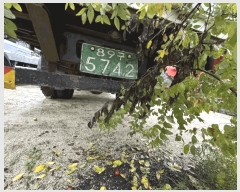  2025Ÿ��50778 ��õ�� �ź��� �����1�� 31, ����������      �������