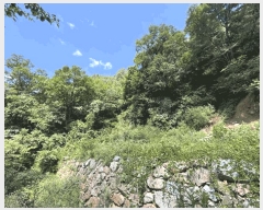  2025Ÿ��50791 ���� ȫõ�� ���� â�̸� 1308      ����(��1)���