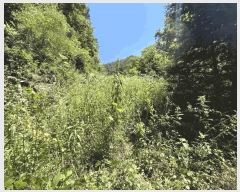  2025Ÿ��50791 ���� ȫõ�� ���� â�̸� 1308      ����(��1)���