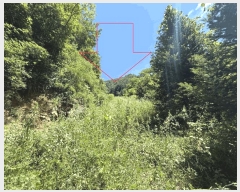  2025Ÿ��50791 ���� ȫõ�� ���� â�̸� 1308      ����(��1)���