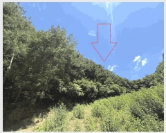  2025Ÿ��50791 ���� ȫõ�� ���� â�̸� 1308      ����(��1)���