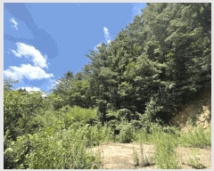  2025Ÿ��50791 ���� ȫõ�� ���� â�̸� 1308      ����(��1)���