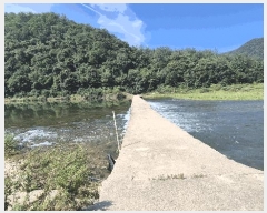  2025Ÿ��50803 ���� ȫõ�� �Ϲ�� ���׸� 210      ���ð��