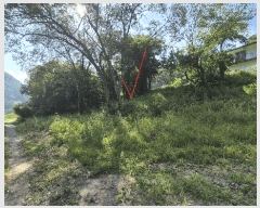  2025Ÿ��50803 ���� ȫõ�� �Ϲ�� ���׸� 210      ���ð��