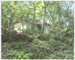  2025Ÿ��50803 ���� ȫõ�� �Ϲ�� ���׸� 210      ���ð��