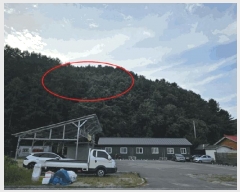  2025Ÿ��50807  �Ӿ߰��