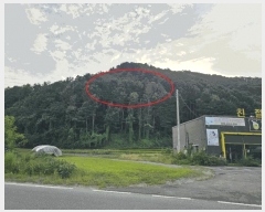  2025Ÿ��50807  �Ӿ߰��