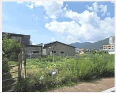  2025Ÿ50827  籸 籸  561-3      ()