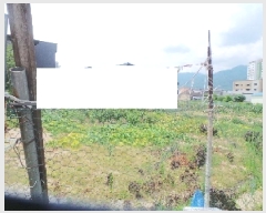  2025Ÿ50827  籸 籸  561-3      ()