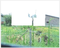  2025Ÿ50827  籸 籸  561-3      ()