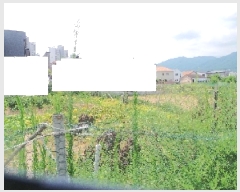  2025Ÿ50827  籸 籸  561-3      ()