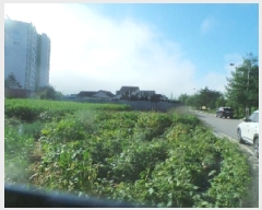  2025Ÿ50831  籸 籸  582-14      ()