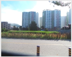  2025Ÿ50831  籸 籸  582-14      ()