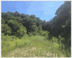  2025Ÿ50832  õ õ 85-30       (Ӿ)