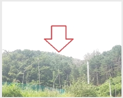  2025Ÿ50832  õ õ 85-30       (Ӿ)