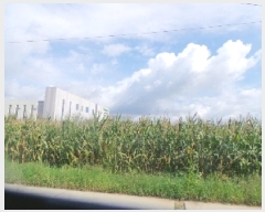  2025Ÿ��50860 ���� ��õ�� ��� 573-22       ����(��1)���