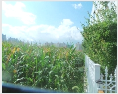  2025Ÿ��50860 ���� ��õ�� ��� 573-22       ����(��1)���