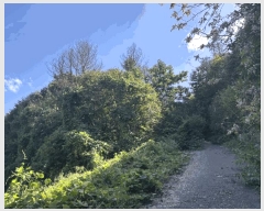  2025Ÿ��50872 ���� ��õ�� ����� ���ϸ� 261-2      ����(�Ӿ�)���