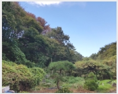  2025Ÿ��50872 ���� ��õ�� ����� ���ϸ� 261-2      ����(�Ӿ�)���