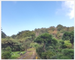  2025Ÿ��50872 ���� ��õ�� ����� ���ϸ� 261-2      ����(�Ӿ�)���