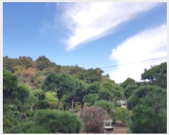  2025Ÿ��50872 ���� ��õ�� ����� ���ϸ� 261-2      ����(�Ӿ�)���